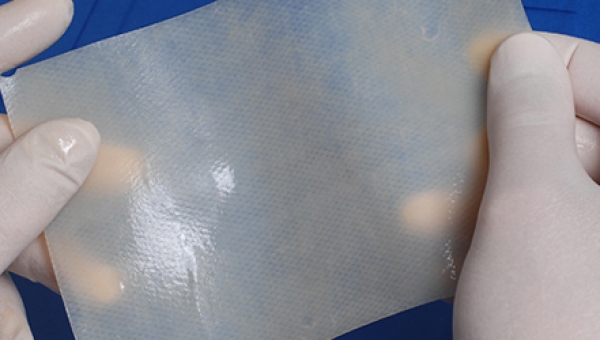 Gentrix® Surgical Matrix