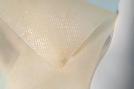 Gentrix® Surgical Matrix Plus