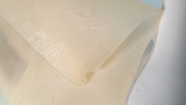 Gentrix® Surgical Matrix Plus