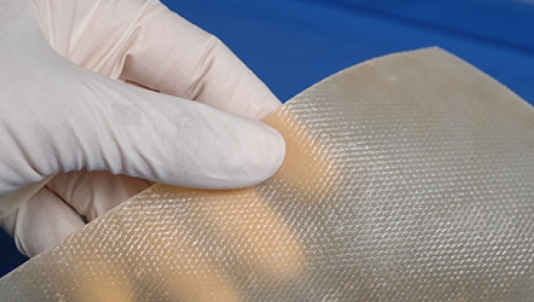 Gentrix® Surgical Matrix Thick