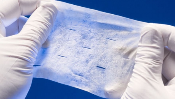 Cytal® Wound Matrix 1-Layer