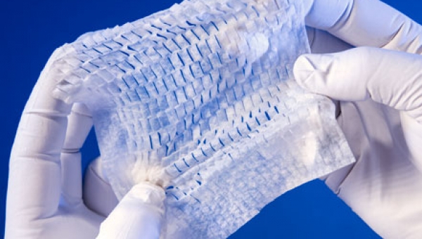 Cytal® Wound Matrix 2-Layer