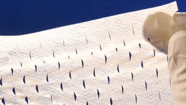 Cytal® Wound Matrix 3-Layer