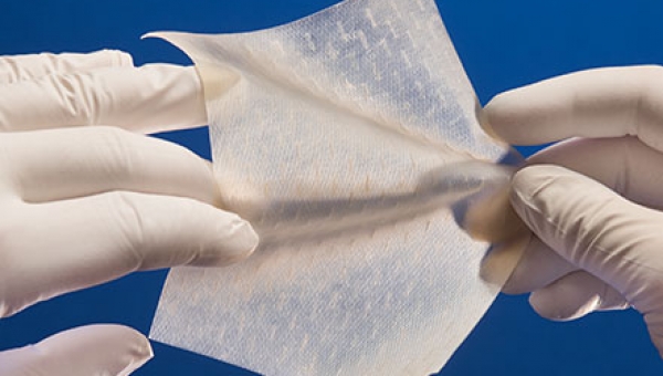 Cytal® Wound Matrix 6-Layer